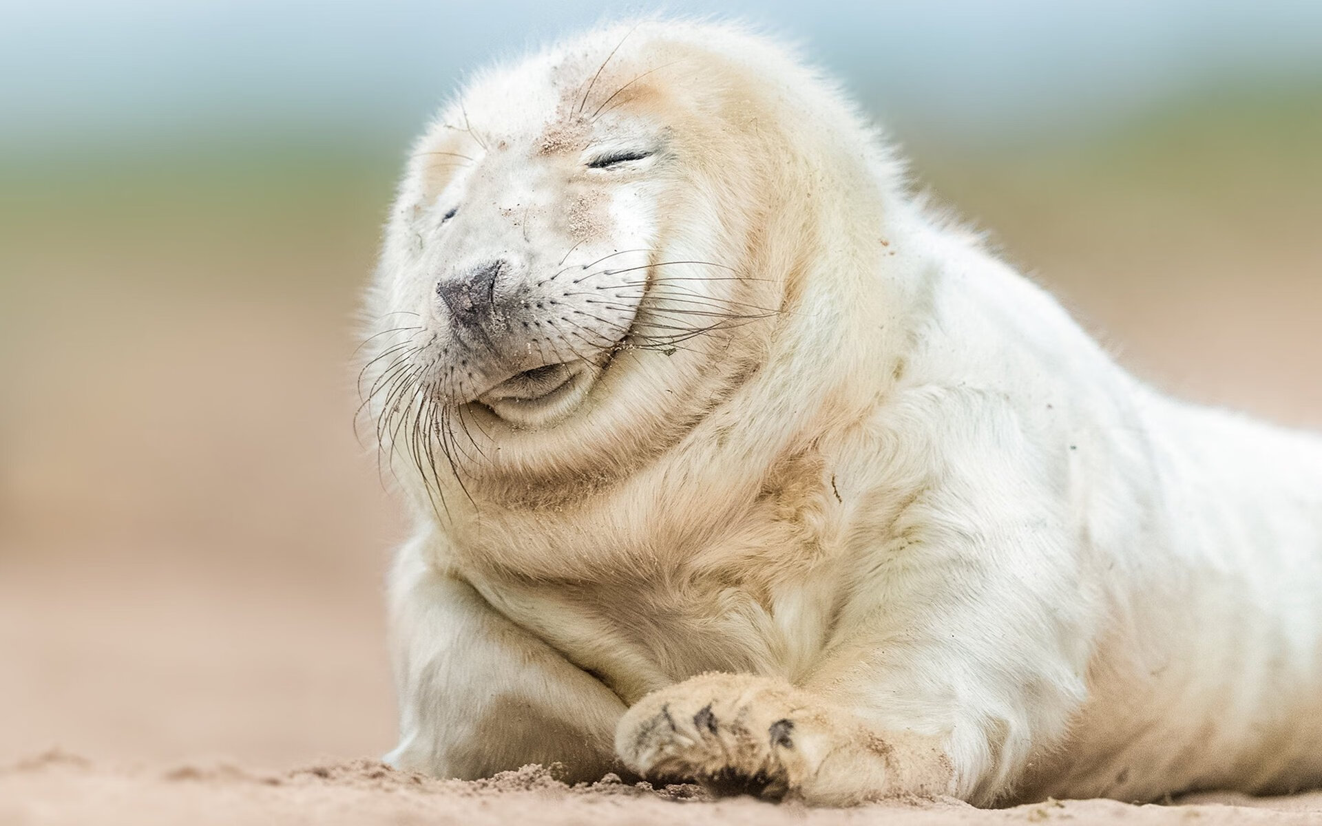 九游网页版入口-急流冲浪挑战赛，水上极限运动的新天地，急流航行